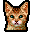 The Bengal Rescue Network